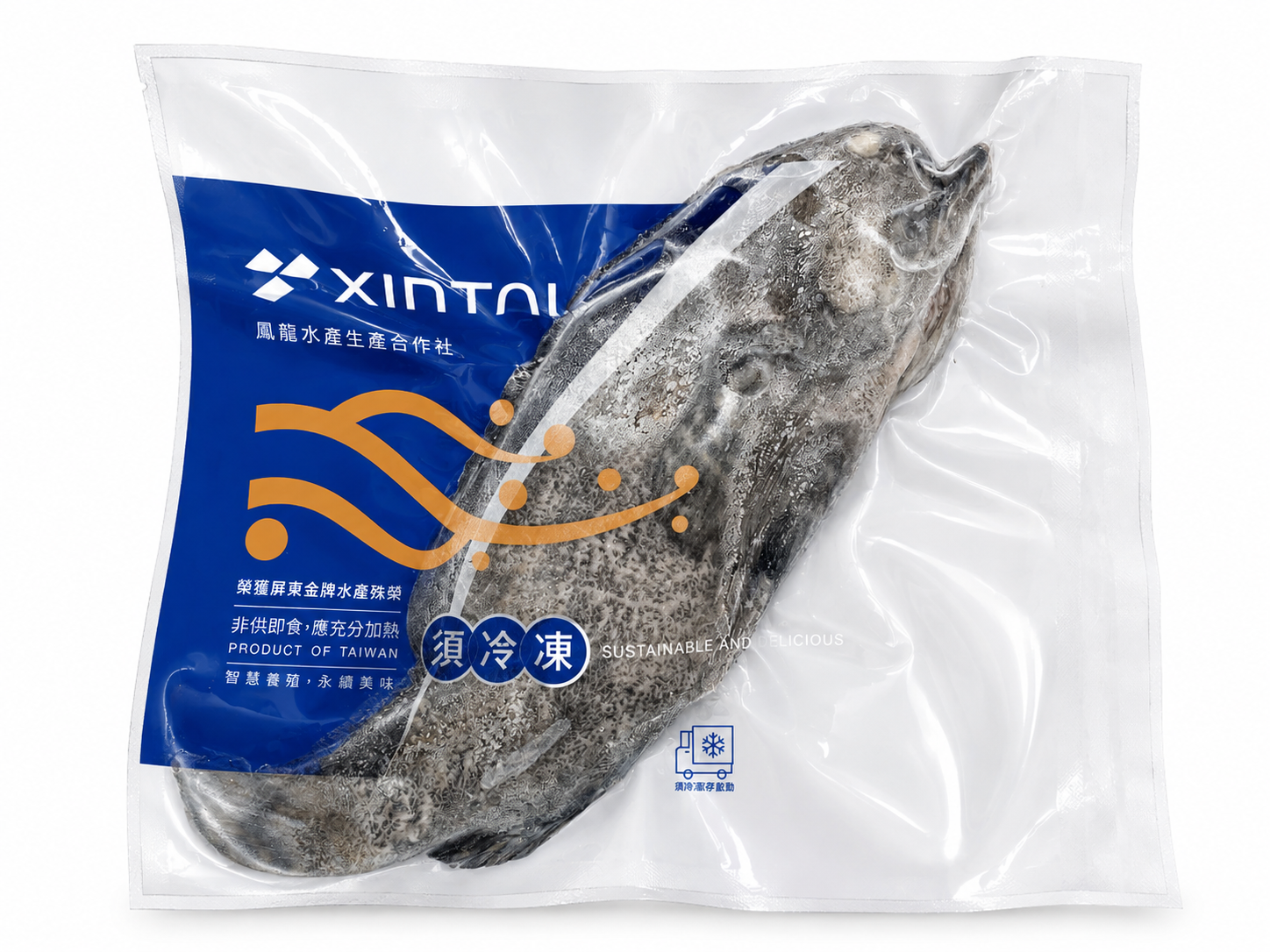 龍膽石斑魚